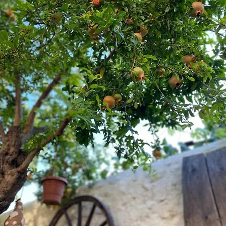 La Mia Casa