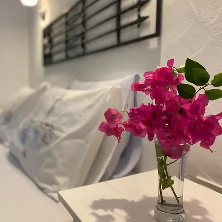 La Mia Casa Bed and Breakfast