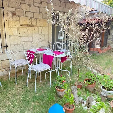 La Mia Casa *